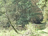 DSCN5876.jpg DSCN5876.jpg